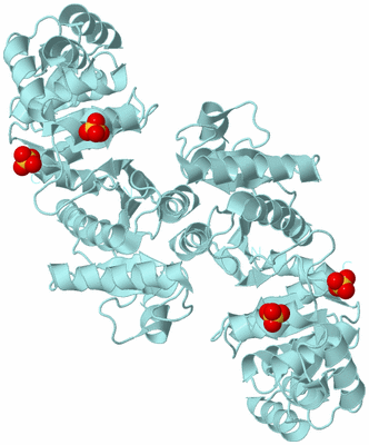 Image Biological Unit 4