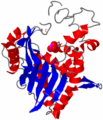 Image Asymmetric Unit
