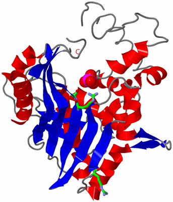 Image Asym. Unit - sites