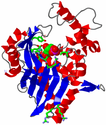 Image Asym. Unit - sites