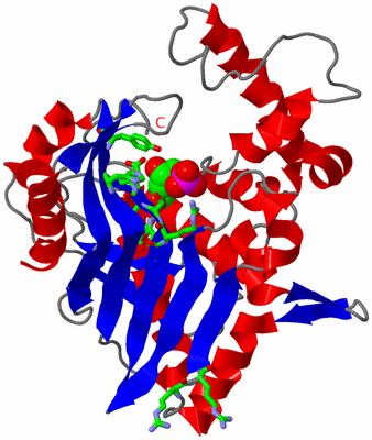 Image Asym. Unit - sites