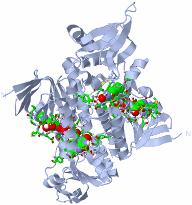 Image Biol. Unit 1 - sites