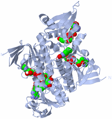 Image Biological Unit 1