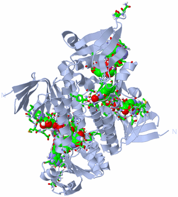 Image Biol. Unit 1 - sites