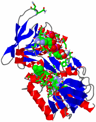 Image Asym. Unit - sites