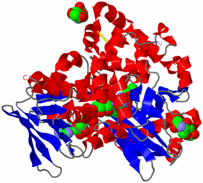 Image Asym./Biol. Unit