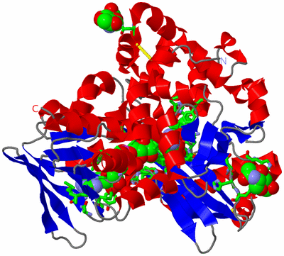 Image Asym./Biol. Unit - sites