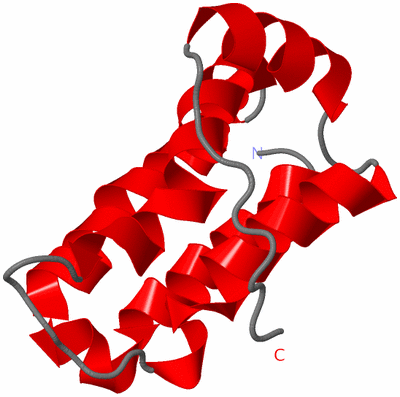 Image NMR Structure - model 1