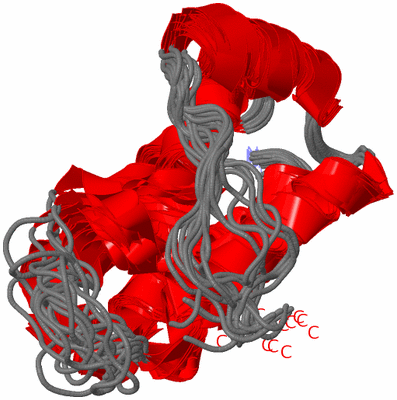 Image NMR Structure - all models