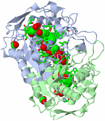 Image Asym./Biol. Unit - sites