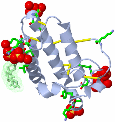 Image Asym./Biol. Unit - sites