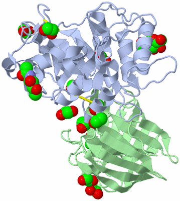 Image Asym./Biol. Unit