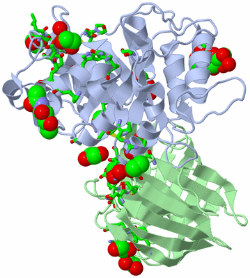 Image Asym./Biol. Unit - sites