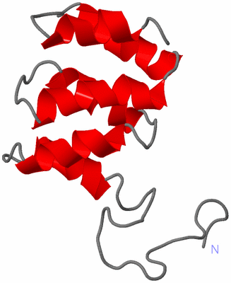 Image NMR Structure - model 1