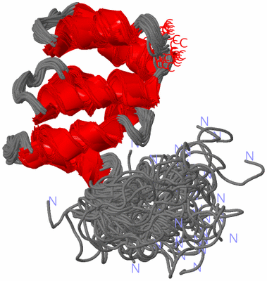 Image NMR Structure - all models
