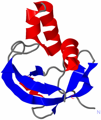 Image NMR Structure - model 1