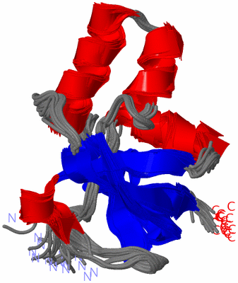 Image NMR Structure - all models