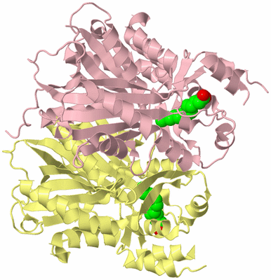 Image Biological Unit 2