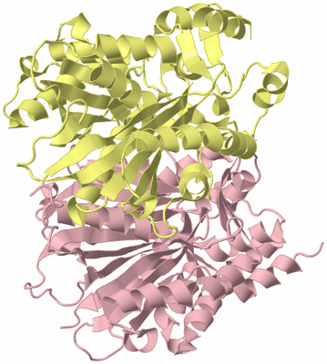 Image Biological Unit 2