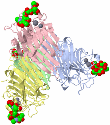 Image Biological Unit 1