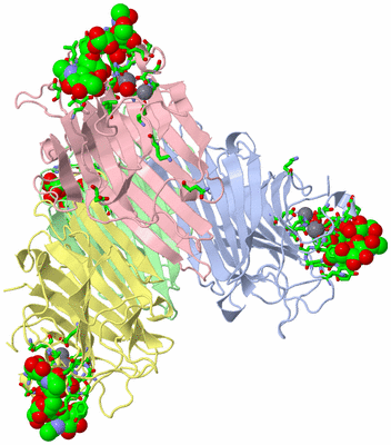 Image Biol. Unit 1 - sites