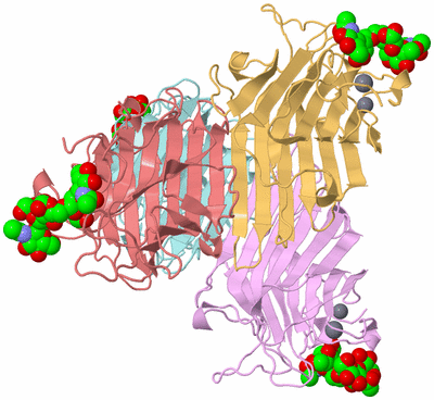 Image Biological Unit 2