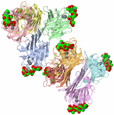 Image Biological Unit 3