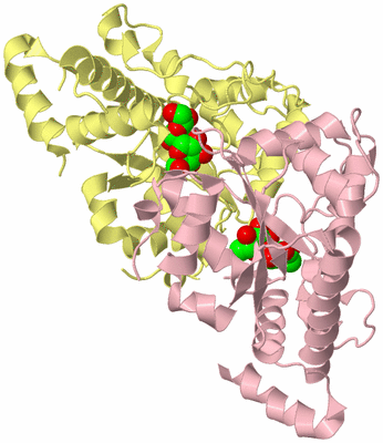 Image Biological Unit 2