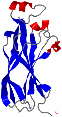 Image NMR Structure - model 1