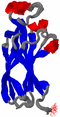 Image NMR Structure - all models