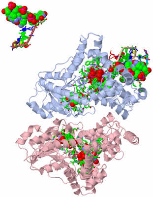 Image Biol. Unit 1 - sites