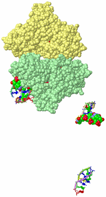 Image Biological Unit 2