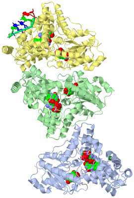 Image Biological Unit 4