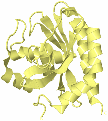 Image Biological Unit 4