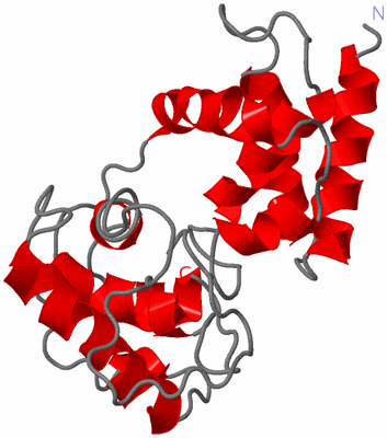 Image NMR Structure - model 1