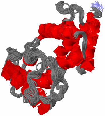 Image NMR Structure - all models