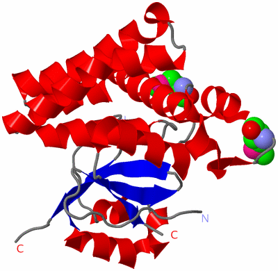 Image Asym./Biol. Unit
