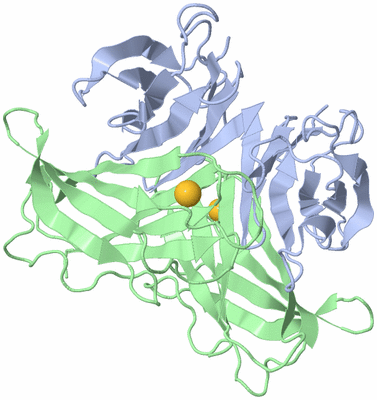 Image Biological Unit 2