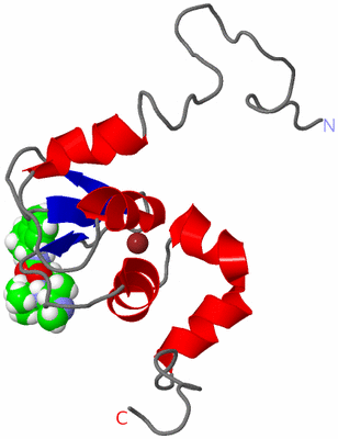 Image NMR Structure - model 1