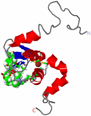 Image NMR Structure - model 1, sites