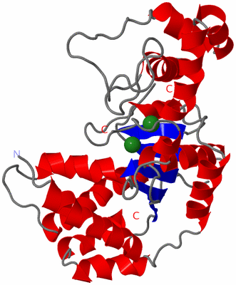 Image Asym./Biol. Unit