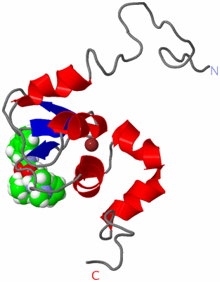 Image NMR Structure - model 1