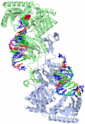 Image Biological Unit 1