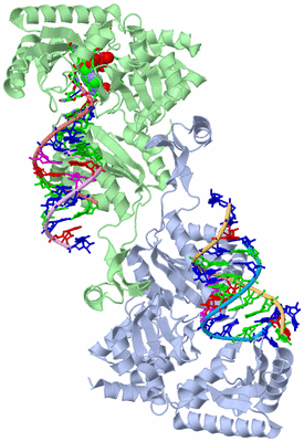 Image Biol. Unit 1 - sites