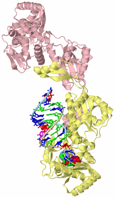 Image Biological Unit 2