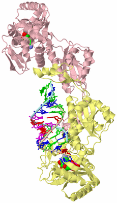 Image Biological Unit 2