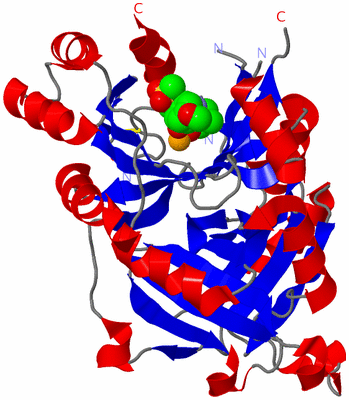 Image Asymmetric Unit