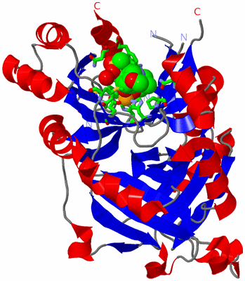 Image Asym. Unit - sites