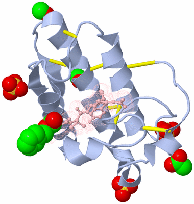 Image Asym./Biol. Unit