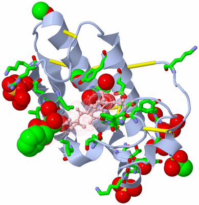 Image Asym./Biol. Unit - sites